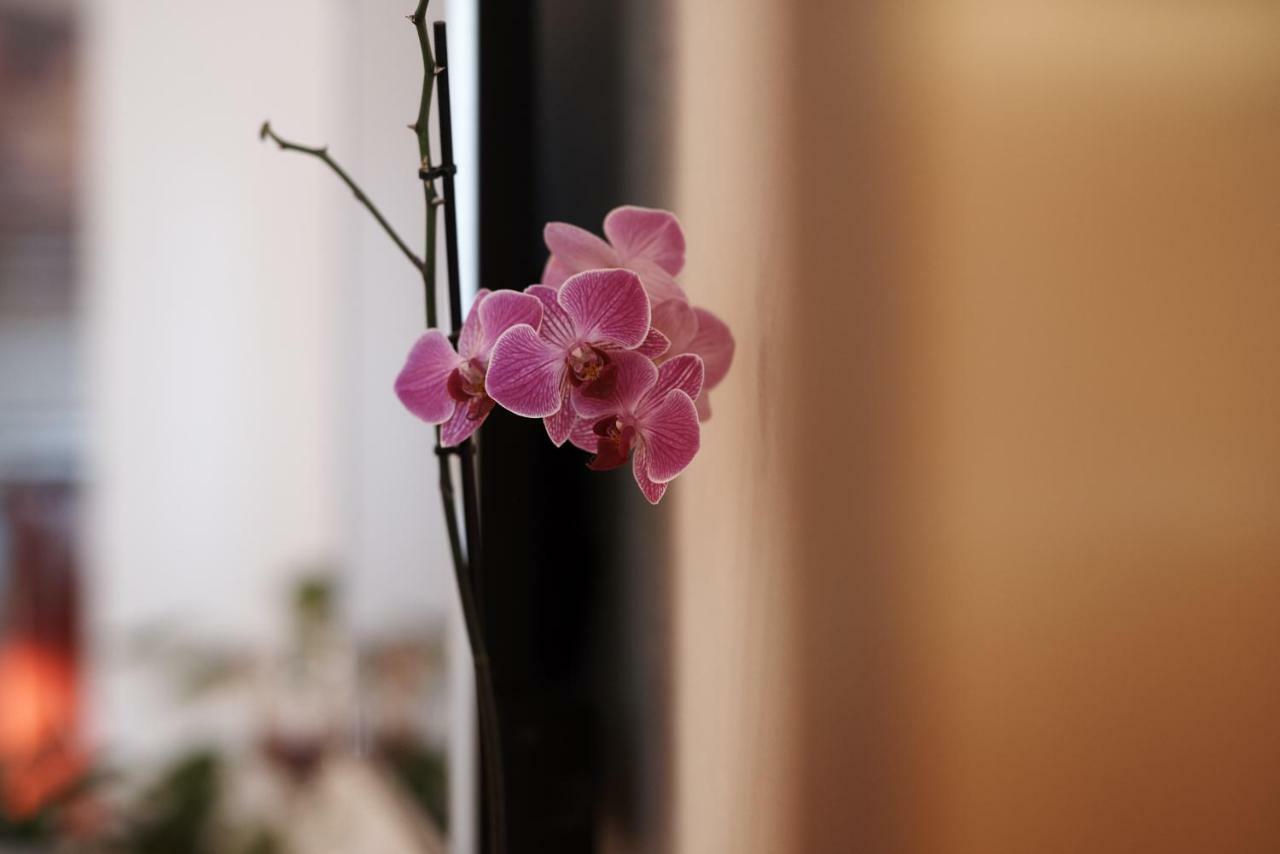 Apartman Antonio Trogir Extérieur photo